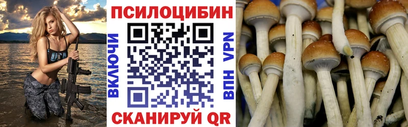 Псилоцибиновые грибы Cubensis  mega зеркало  Калач-на-Дону 